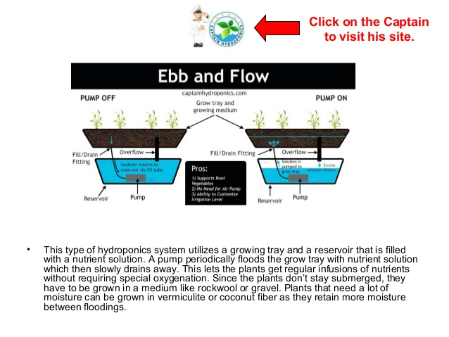 3 Ebb And Flow System Tanaman Hidroponik 2018