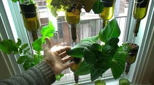 hydroponics system smooth