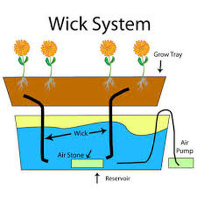 1 Wick System Tanaman  Hidroponik  2021